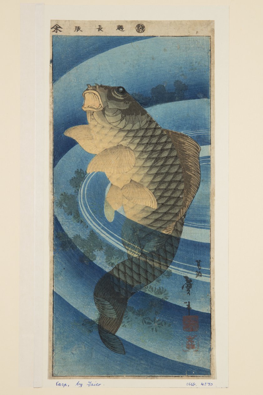 Kapr (barevný dřevotisk) od Katsushika II (fl.1820 50) Taito