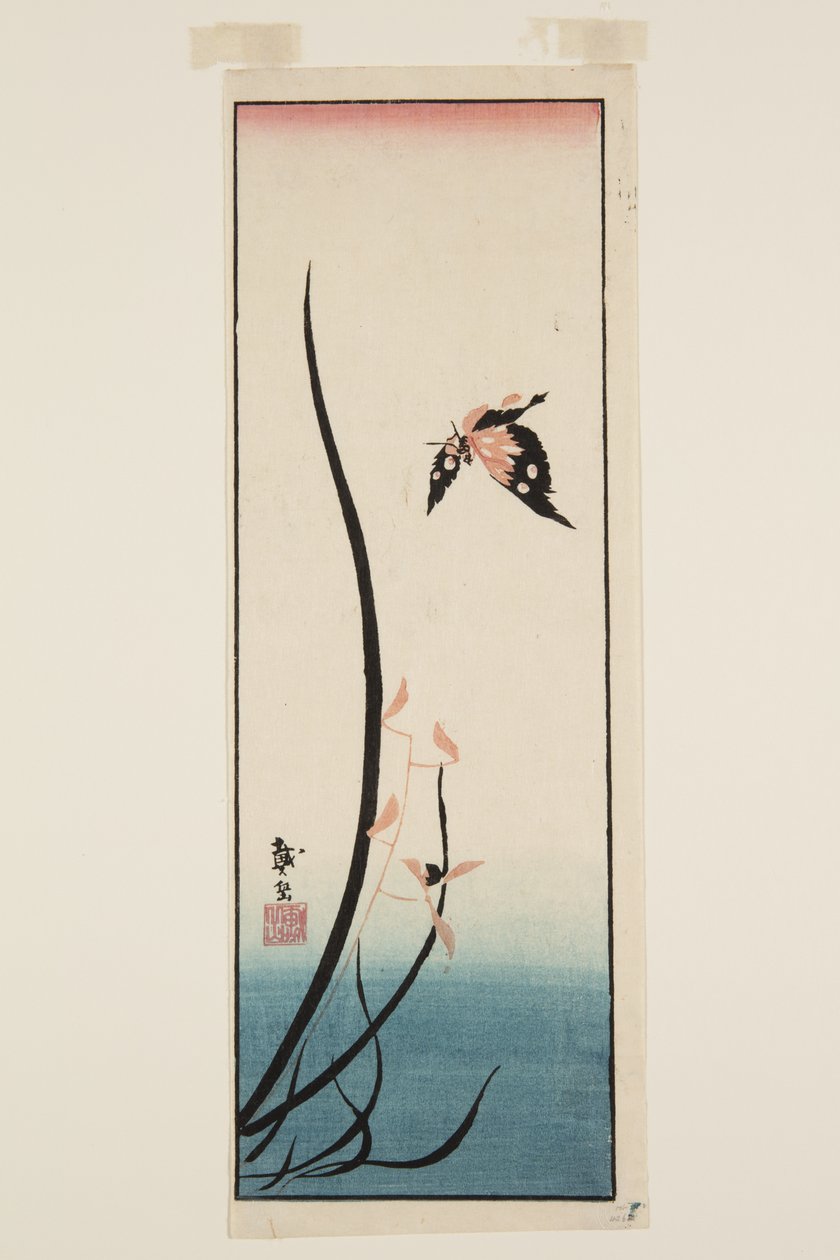 Motýl a tráva (barevný dřevotisk) od Katsushika II (fl.1820 50) Taito