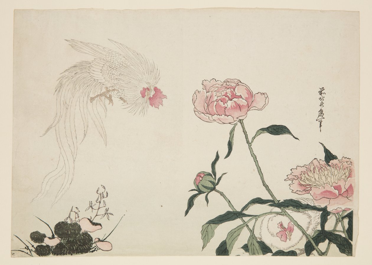 Kohouti s dlouhým ocasem mezi květinami (barevný dřevotisk) od Katsushika II (fl.1820 50) Taito
