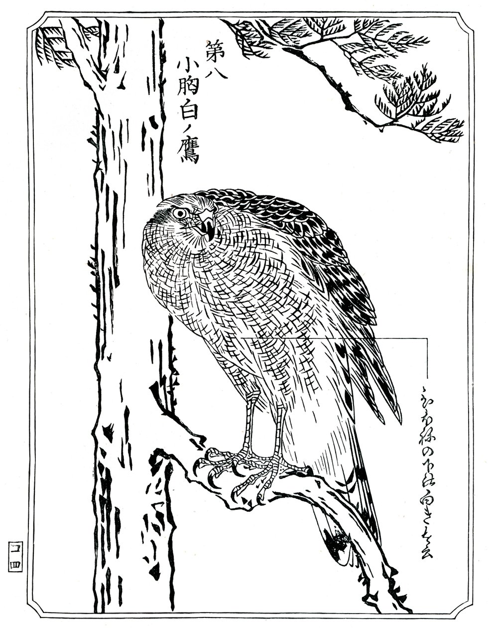 Jestřáb, 1898. od Kawanabe Kyosai