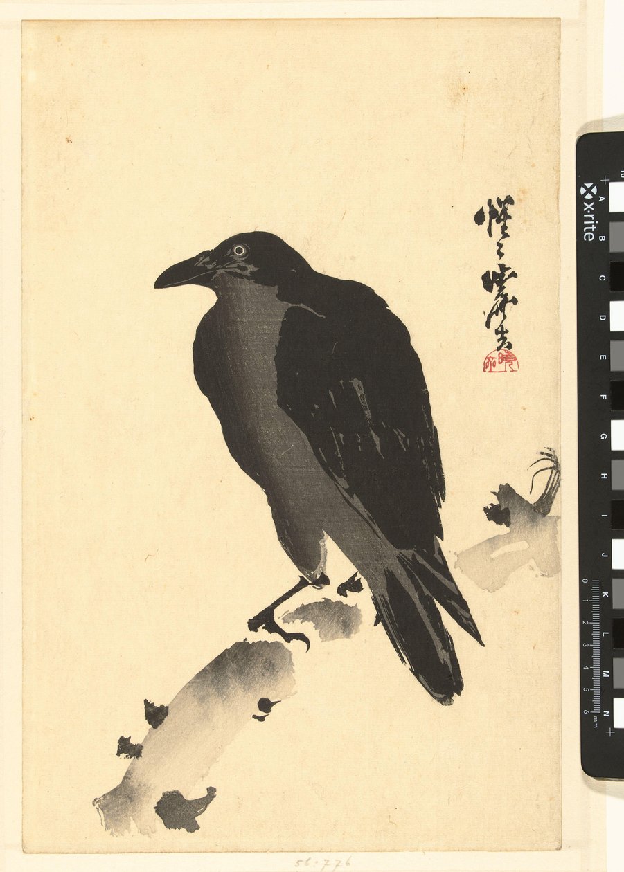 Vrána na kmen stromu od Kawanabe Kyosai