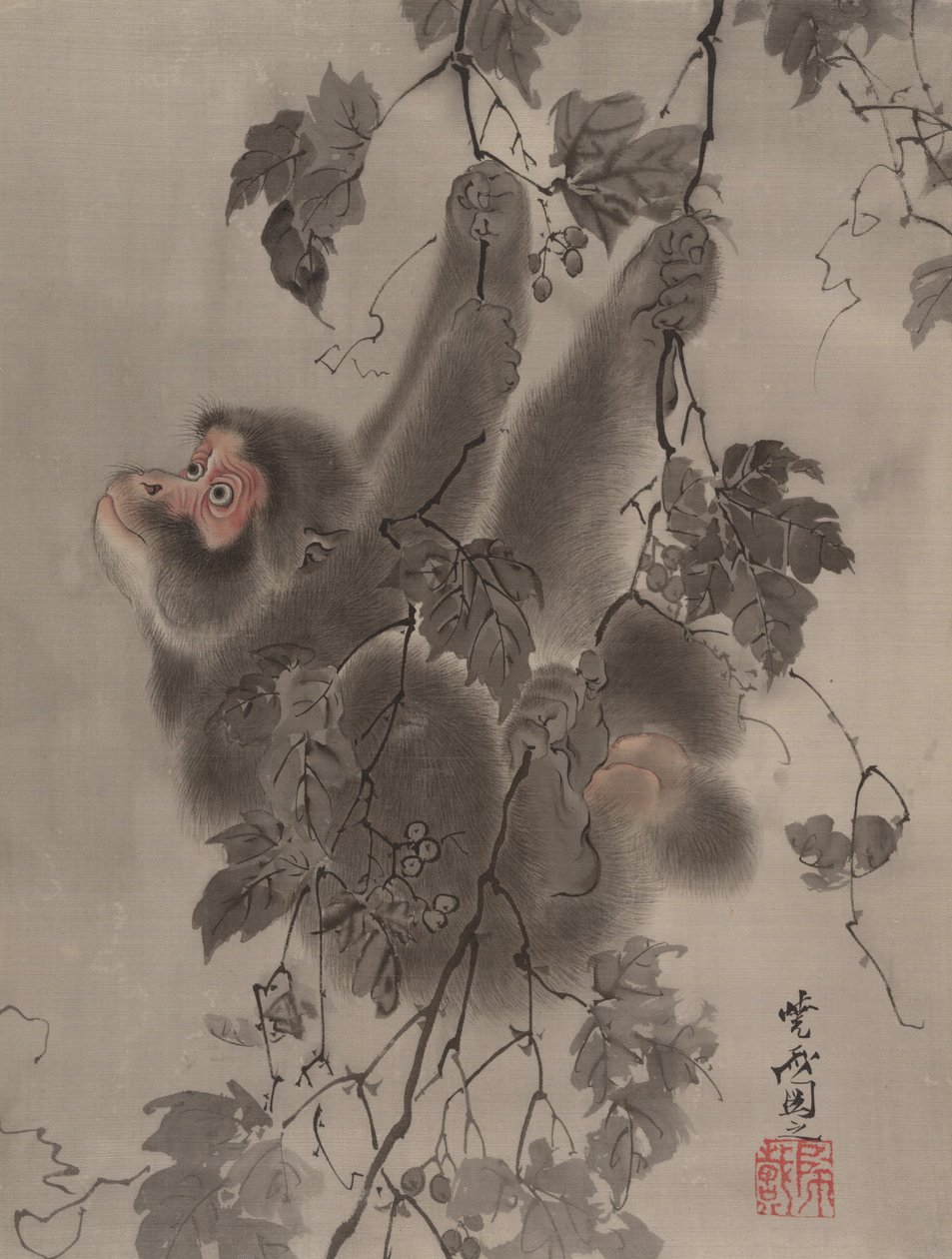 Opice visící z vinné révy, ca. 1887. od Kawanabe Kyosai