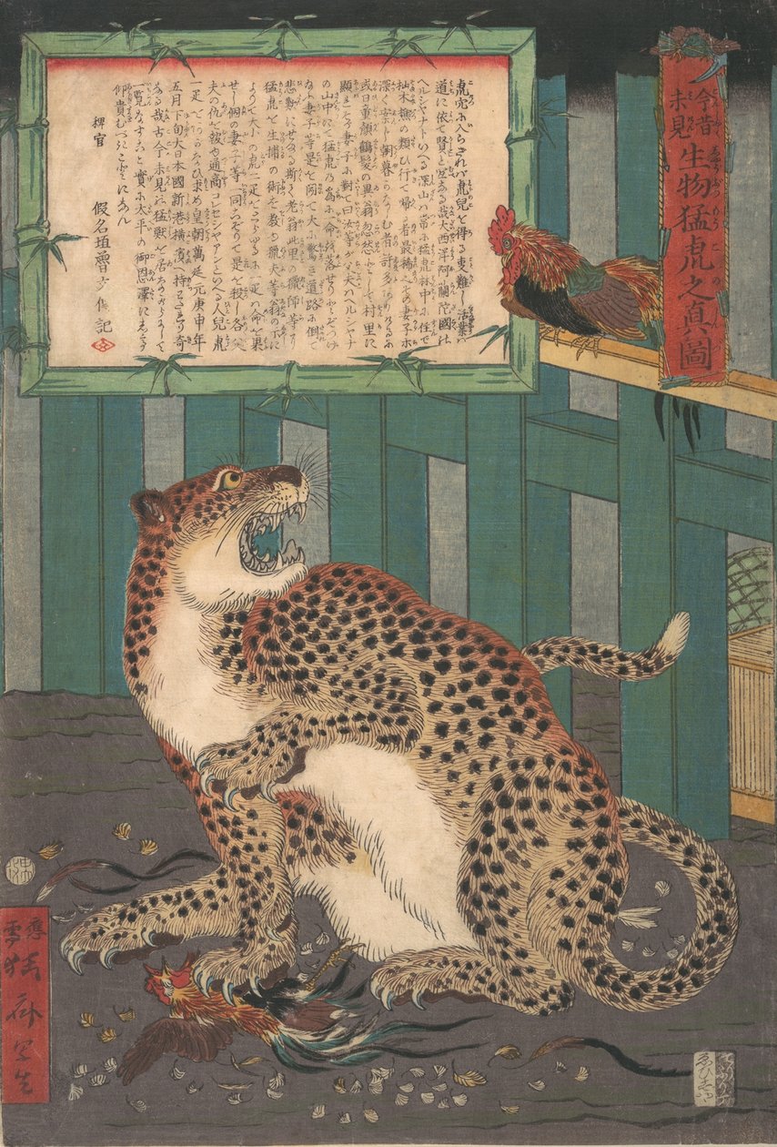 Nikdy předtím neviděný: Skutečný obraz živého divokého tygra..., šestý měsíc 1860. od Kawanabe Kyosai