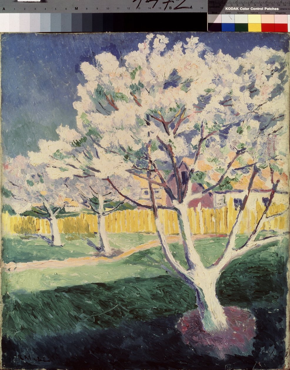 Letní krajina. Obraz Kazimira Severinoviče Maleviče (Malevich, Malevic) (1878-1935), olej na plátně od Kazimir Severinovich Malevich