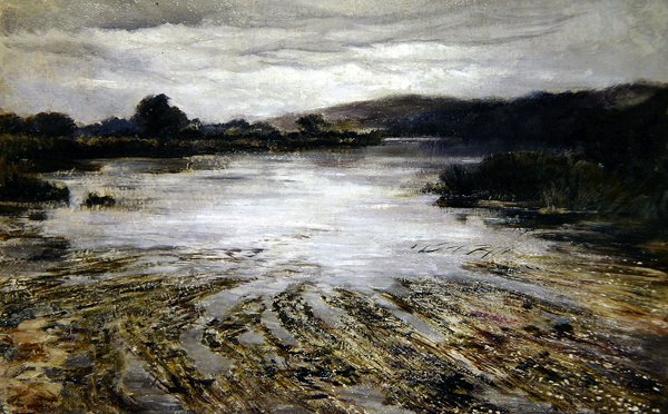 River Weed (olej na plátně) od Keeley Halswelle