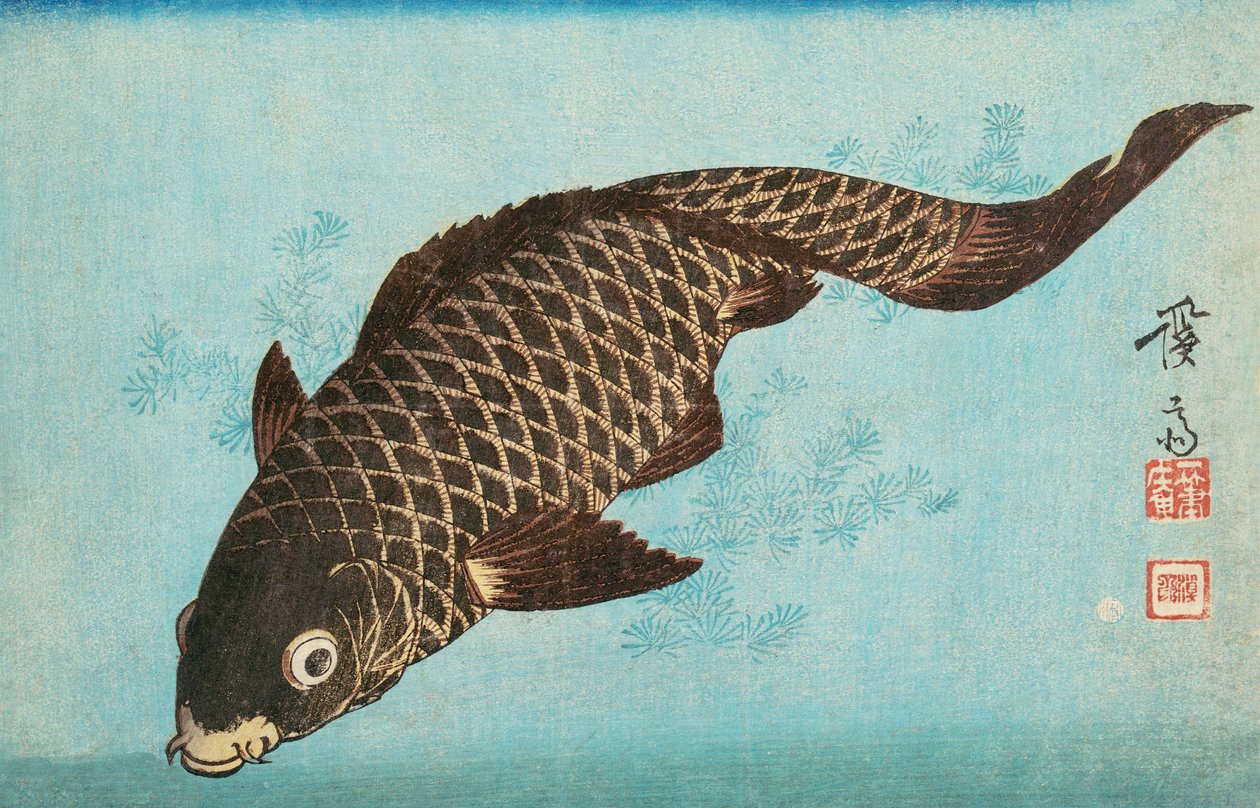 Koi, hospoda.1842 od Keisai Eisen