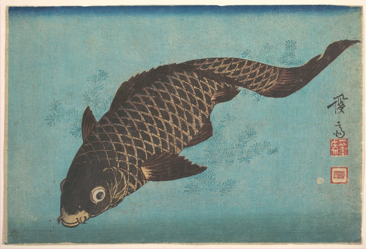 Karp od Keisai Eisen