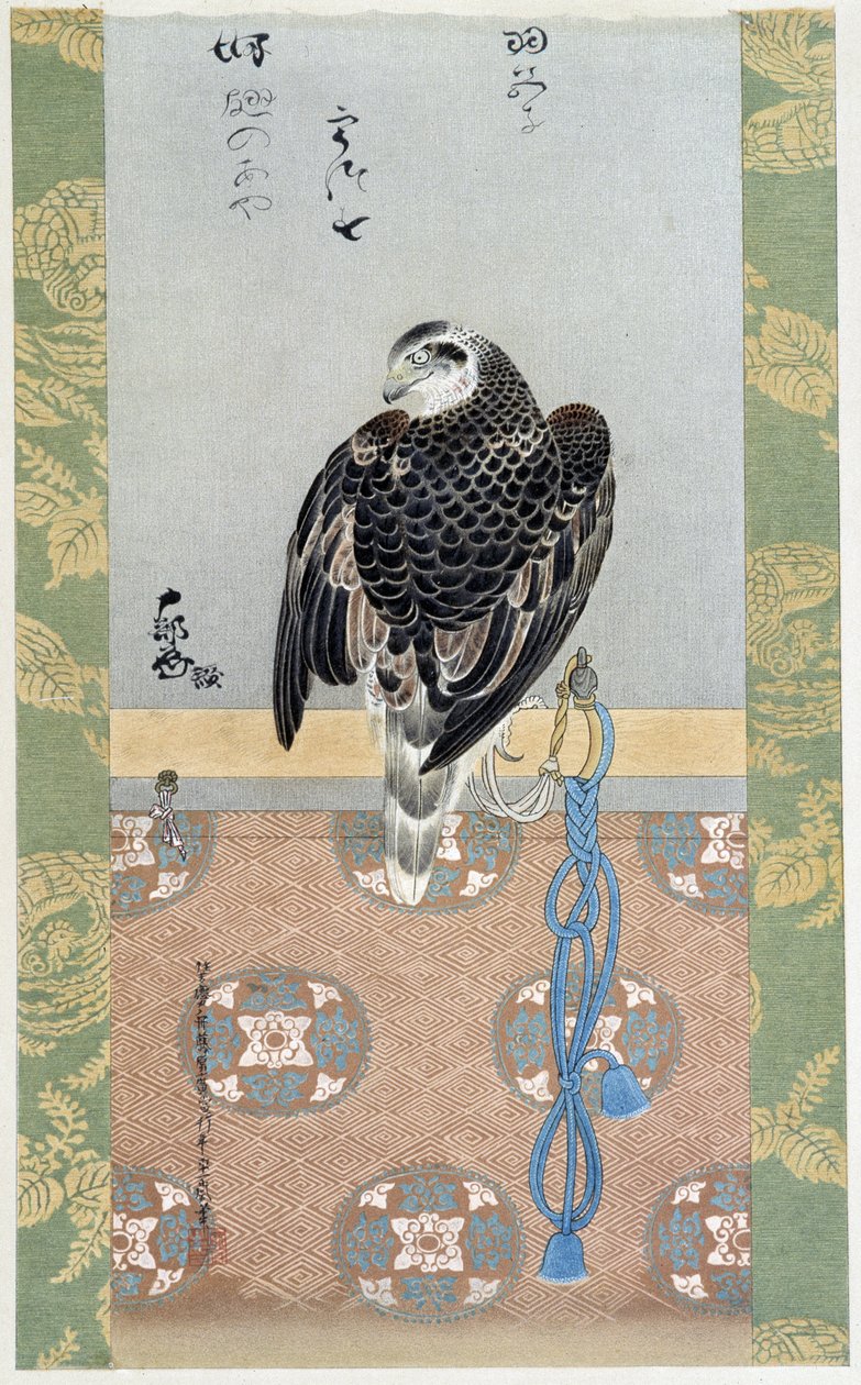 Falcon - malba na hedvábí od Itaya Keishiu od Keishu Hiromasa Itaya