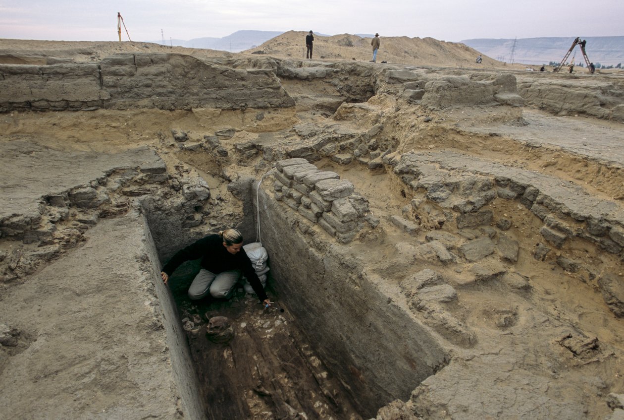 Archeologové vykopali ostatky ženy pohřbené v dřevěné rakvi vedle..., 2005 (foto) od Kenneth Garrett