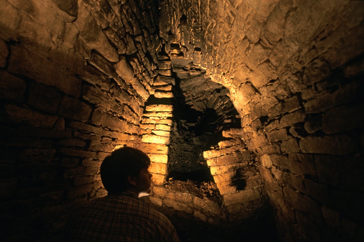 Cancuen, Guatemala, Arthur Demarest, Tomas Barrientos, Mayové, palác, klasické období,..., 2004 (foto) od Kenneth Garrett