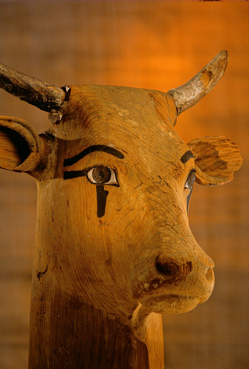 Socha kravské hlavy, KV35; Amenhotep II, 2009 (foto) od Kenneth Garrett