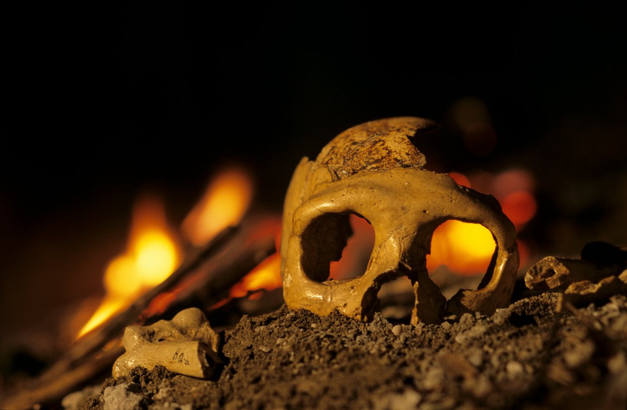 DOH; neandertálci staří 130 000 let, lebka ženy, Krapina 3, Krapinská jeskyně, Balkán od Kenneth Garrett