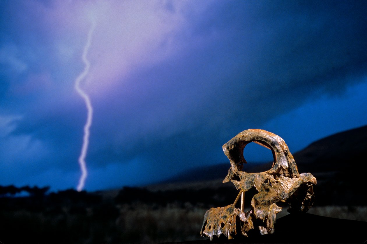 DOH; The First Steps,Broken Skull, STW 847, Lightning, High veld, Swartkrans, Jižní Afrika, 2008 (foto) od Kenneth Garrett