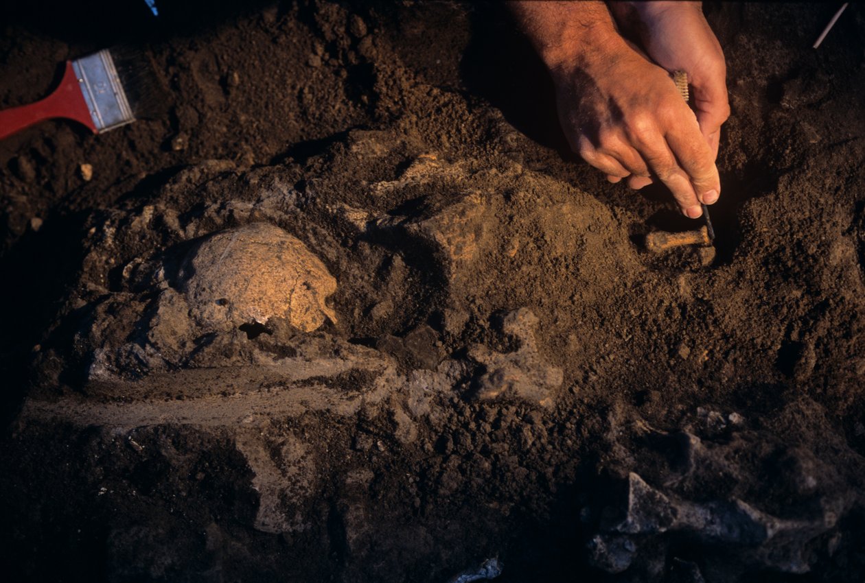 Dmanisi, Gruzie, David Lordkipanidze, Homo Erectus od Kenneth Garrett