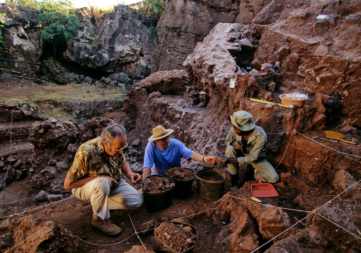 Naleziště Drimolean, nedaleko Johannesburgu, Jihoafrická republika, 2 miliony let starý hominid od Kenneth Garrett