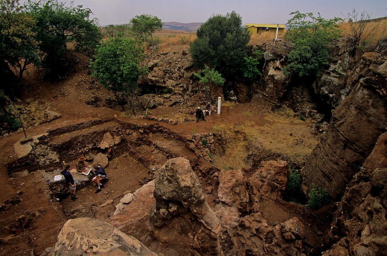 Naleziště Drimolean, nedaleko Johannesburgu, Jihoafrická republika, hominid starý 2 miliony let, od Kenneth Garrett
