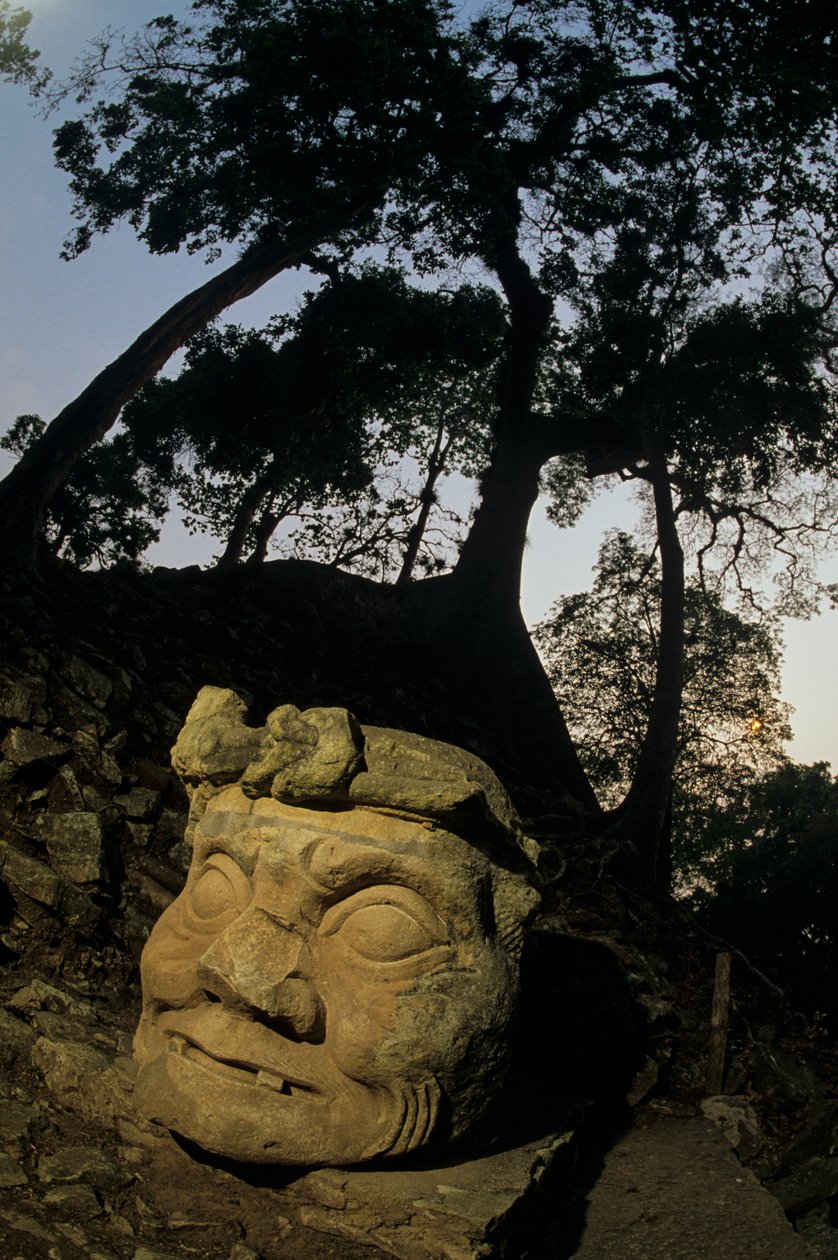 Bůh N, strom Ceiba, chrám, Mayové, Copan, Honduras, klasické období od Kenneth Garrett