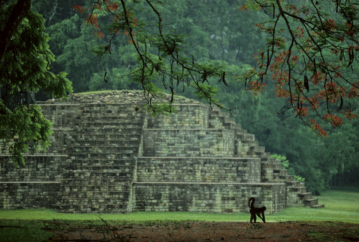Honduras; Copan; Mayové od Kenneth Garrett