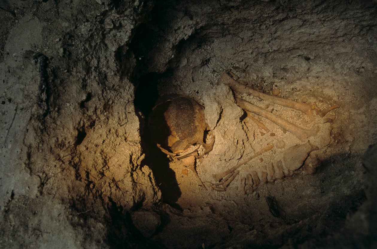 Lidské ostatky, centrum Homul, Holmul, Guatemala, Mayové, Francisco Estradabelli, 2008 (foto) od Kenneth Garrett