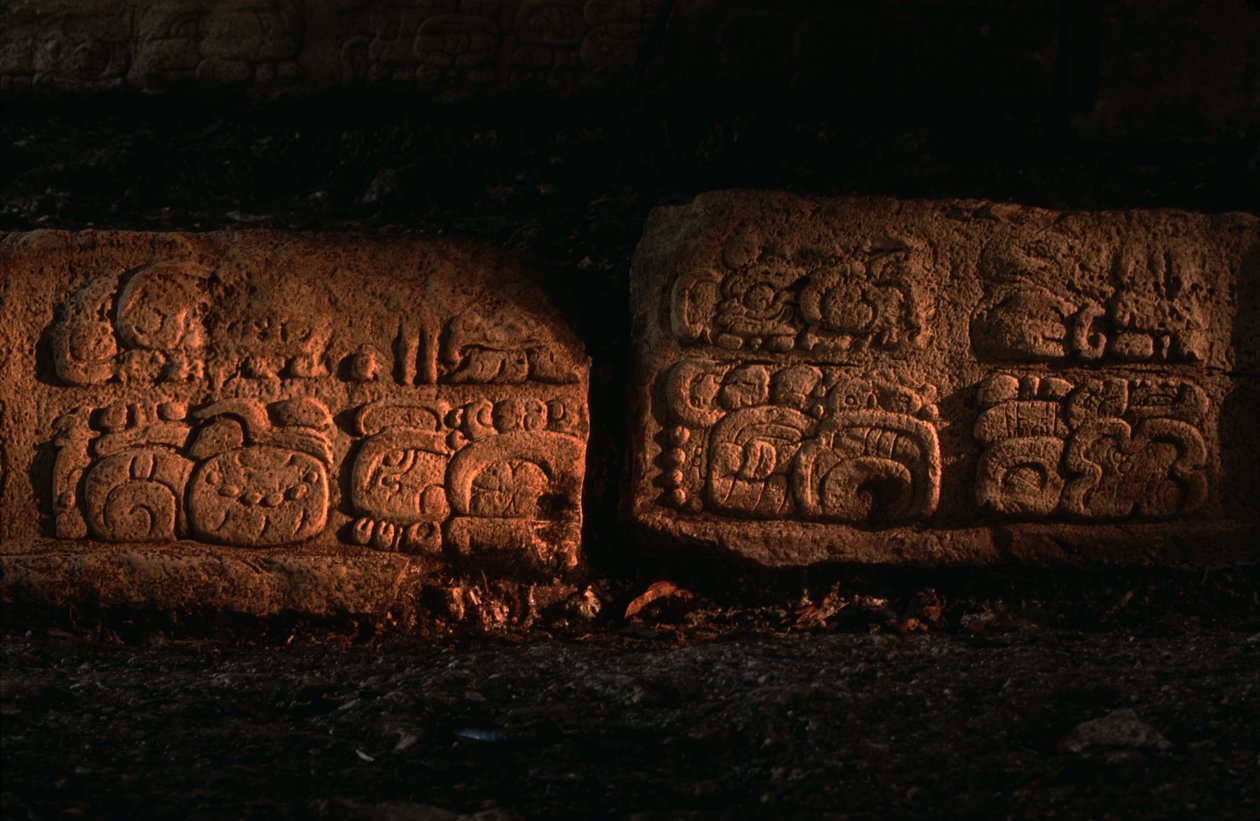 Mayové, Guatemala, Schodiště Dos Pilas od Kenneth Garrett