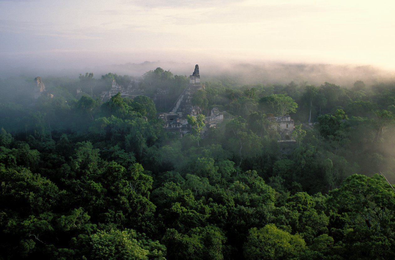 Mayové; Tikal; Guatemala od Kenneth Garrett
