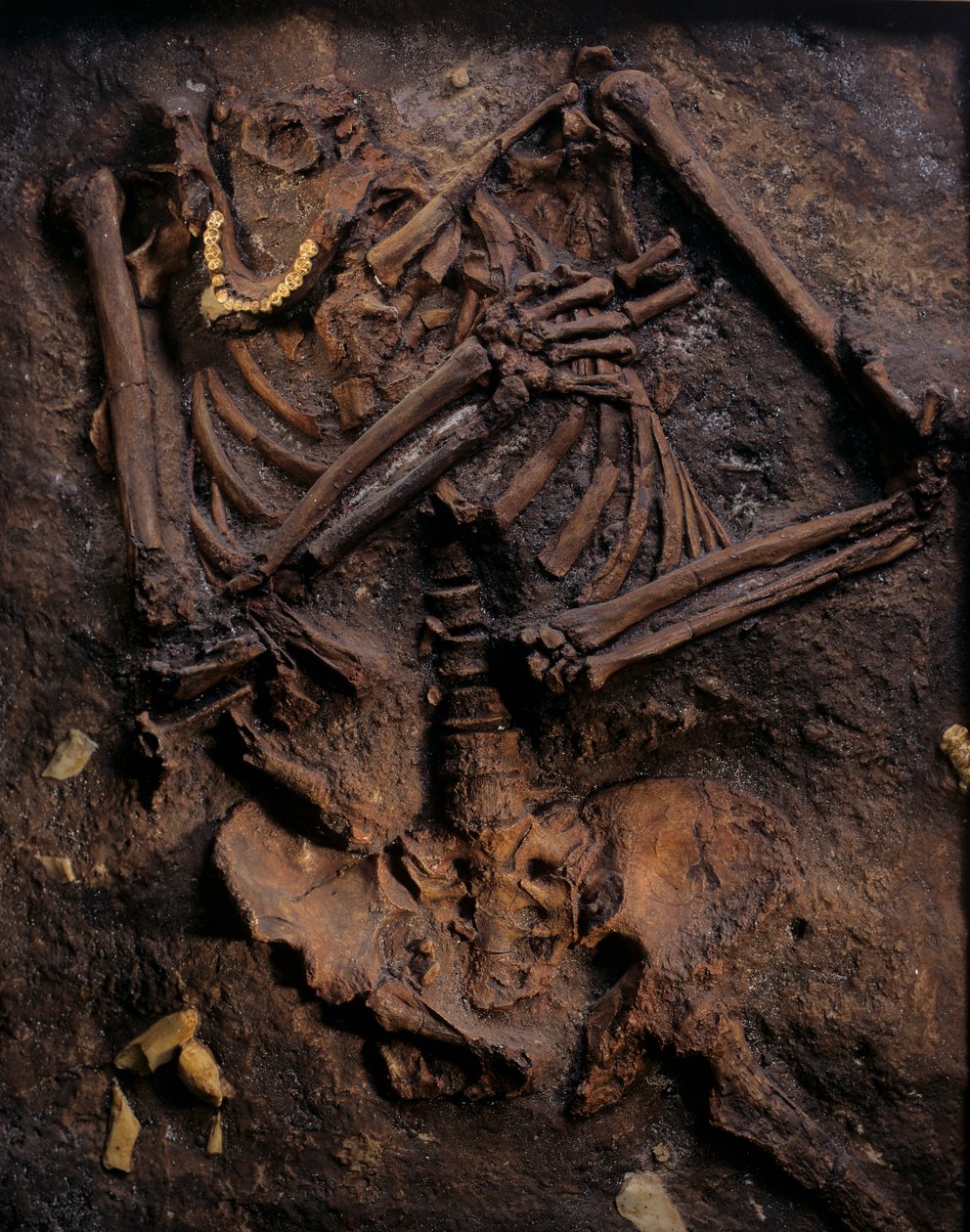 Neandertálec, malovaný odlitek, jeskyně Kebara, hora Karmel, "Moše", asi 60 000 let před naším letopočtem, Izrael od Kenneth Garrett