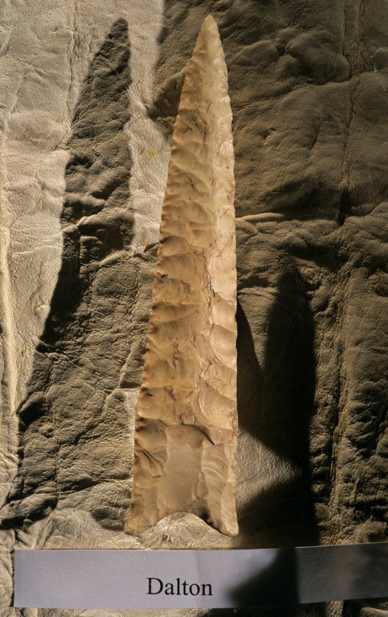 Osídlování Ameriky, Dalton Point, Dennis Stanford, Smithsonian tool collection, 2008 (foto) od Kenneth Garrett