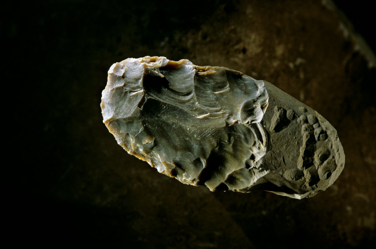 Osídlování Ameriky, Stone Axe, lokalita Gault, Texas, Amerika, 2000 (foto) od Kenneth Garrett