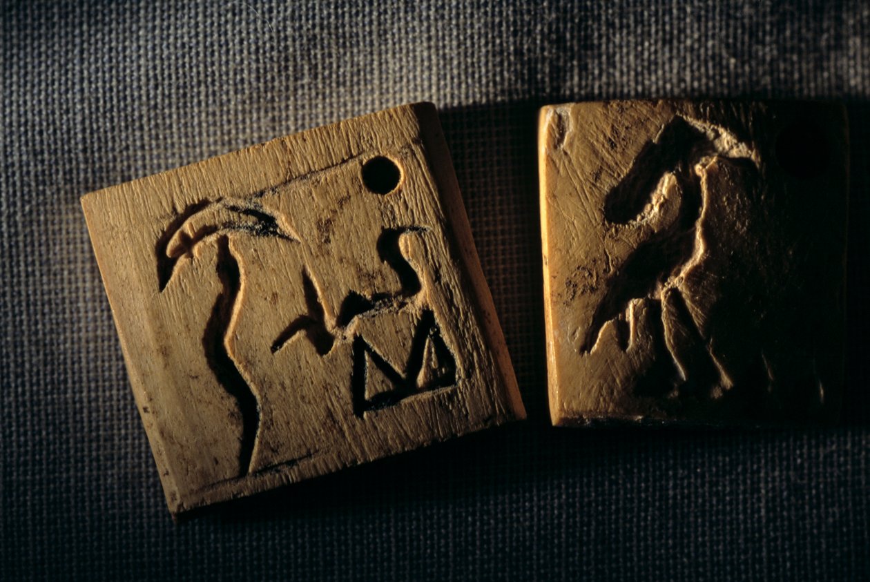 Predynastický štítek ze slonoviny, nejstarší písmo, Dr. Gunter Dreyer, Egypt, 2005 (foto) od Kenneth Garrett