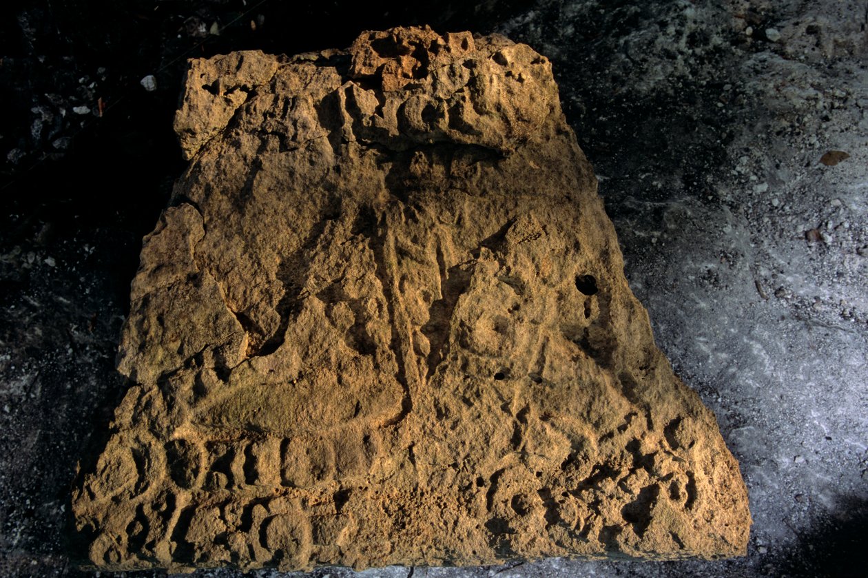 Stéla, Sufricaya, Holmul, Guatemala, Mayové, Francisco Estradabelli, 2008 (foto) od Kenneth Garrett