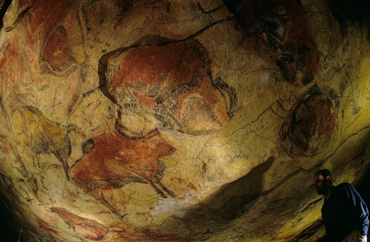 Galerie zubrů, jeskyně Altamira, Španělsko, 2000 (foto) od Kenneth Garrett