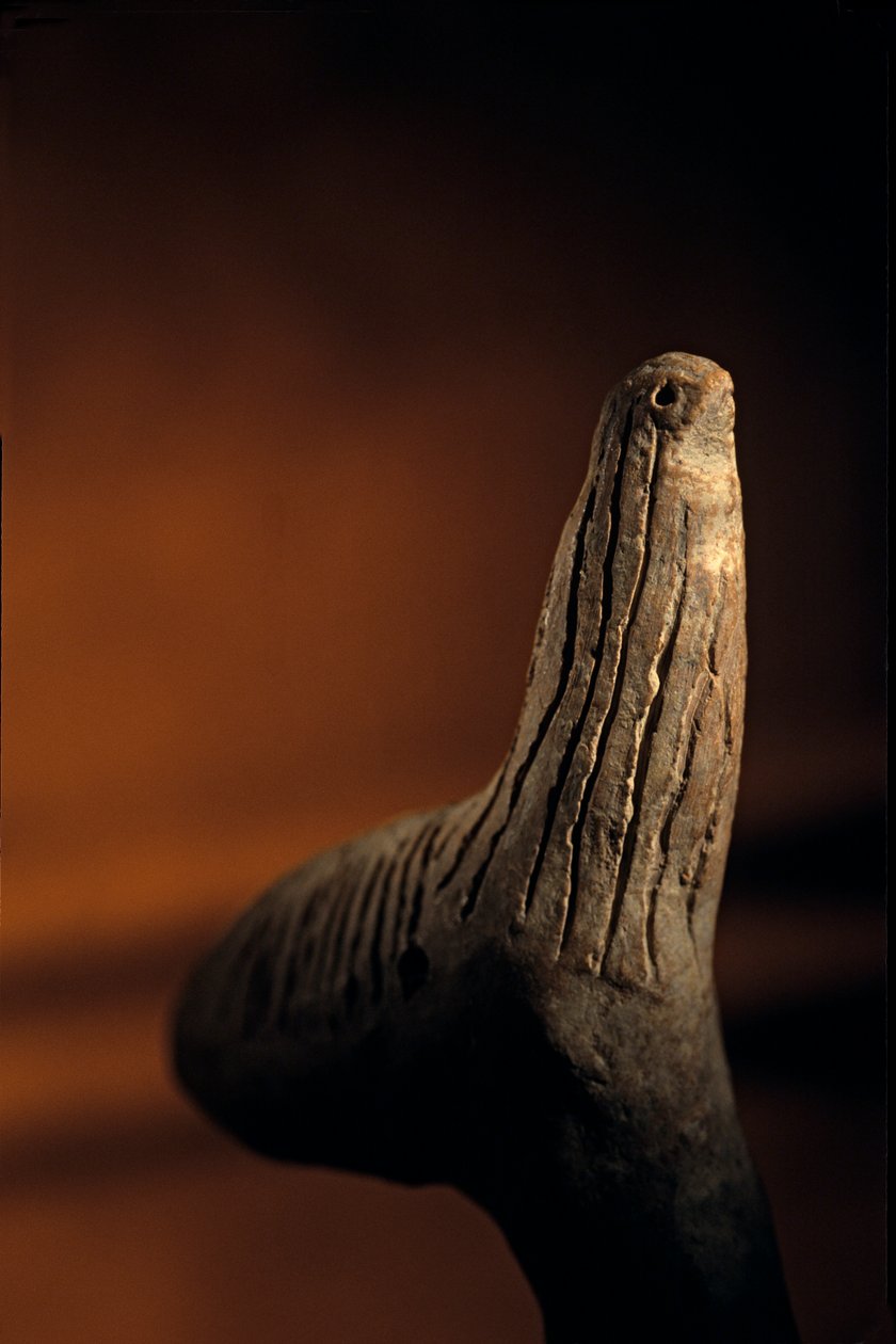 Urkeš; Hurónská říše; Sýrie; 2400 př. n. l.; Giorgio Buccellati; Archeologie; EAME, artef..., 2004 (foto) od Kenneth Garrett