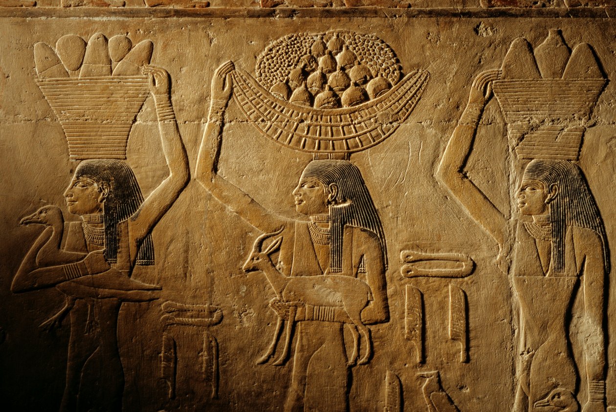 Ženy nesoucí chléb, ptáka, kozu a produkty, hrobka Tiye, Egypt; Stará říše; Sakka... od Kenneth Garrett