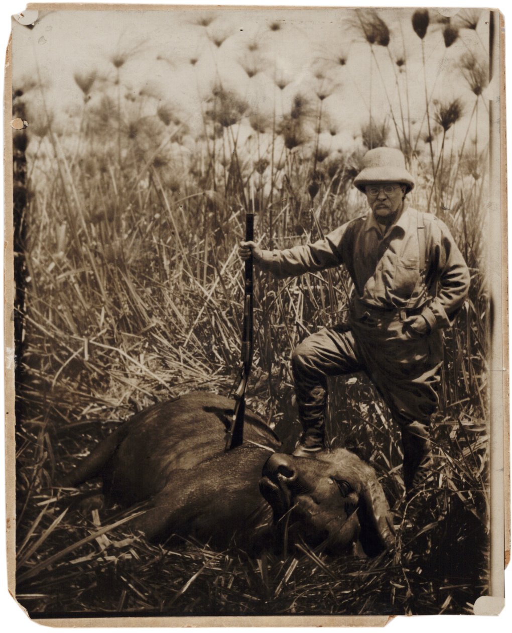 Plukovník Roosevelt stojící vedle vodního buvola, kterého zastřelil (sépiová fotografie) od Kermit Roosevelt