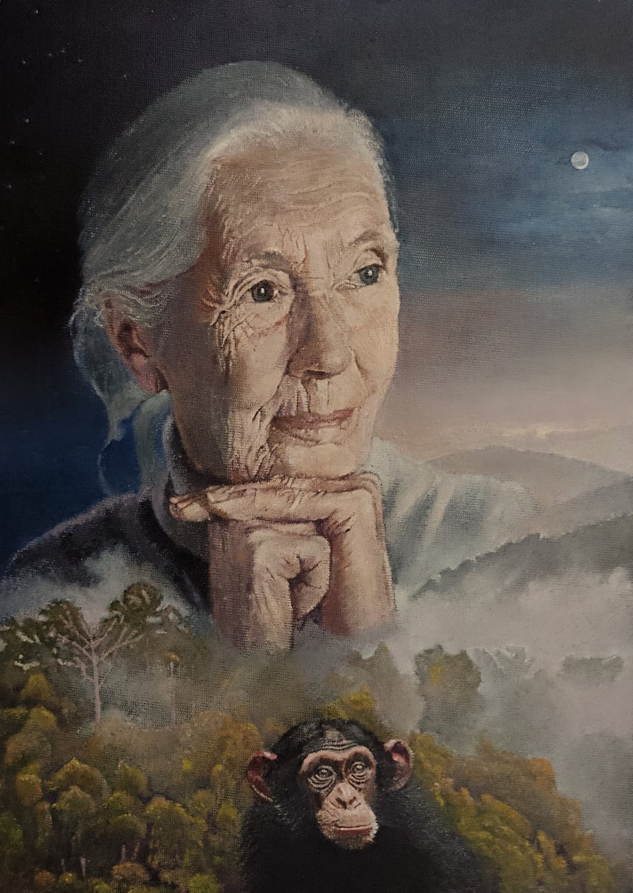 Všichni jsme propojeni (The Wisdom Of Jane Goodall) (malba) od Kevin Parrish