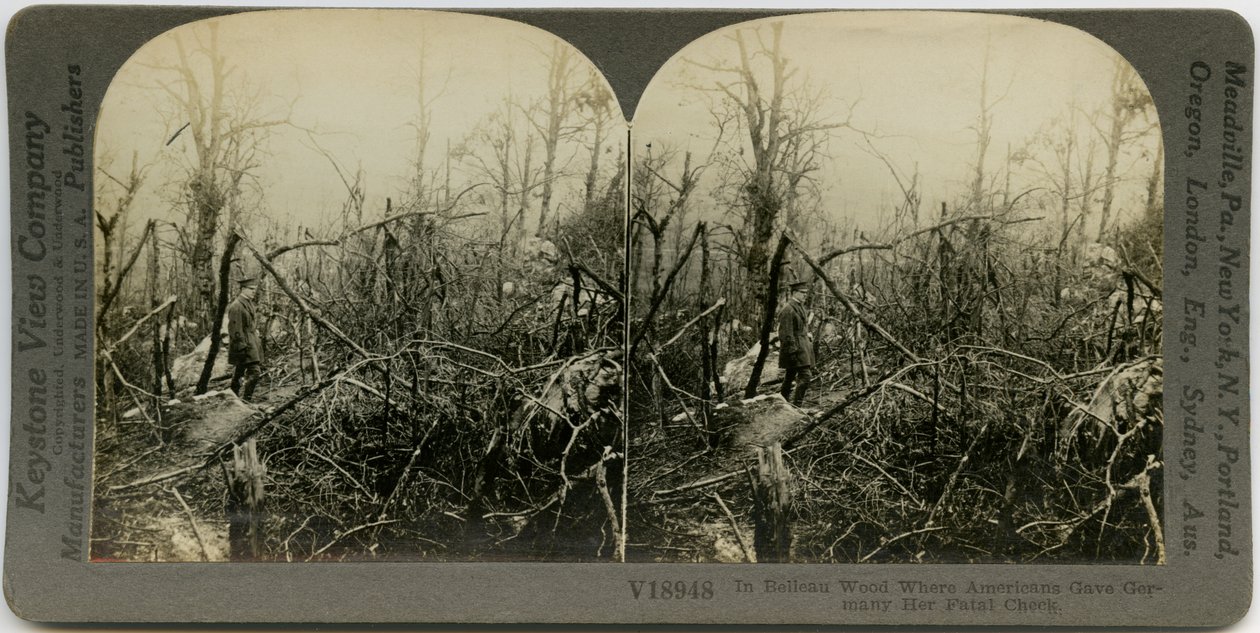 Horizontální, sépiová stereokarta zobrazující uniformovaného muže procházejícího oblastí pokrytou zničenými stromy. Keystone Stereograph číslo V18948. Název zní od Keystone View Company