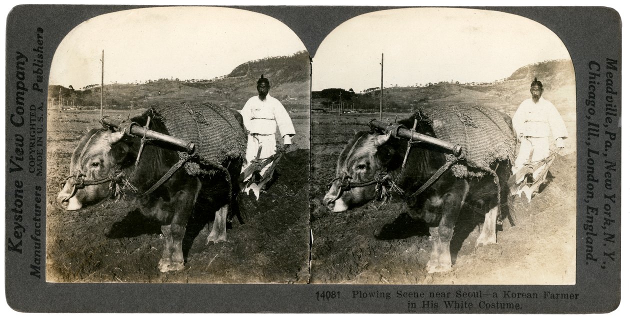 Farmaření poblíž Soulu, Jižní Korea, 1900. od Keystone View Company