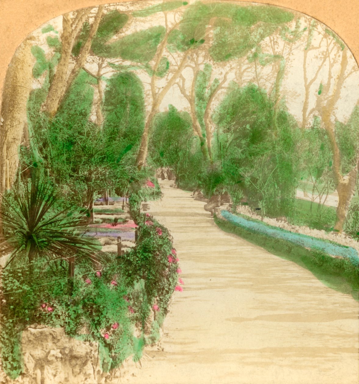 Promenáda, Alameda Garden, Rock of Gibraltar, 1896. od Keystone View Company