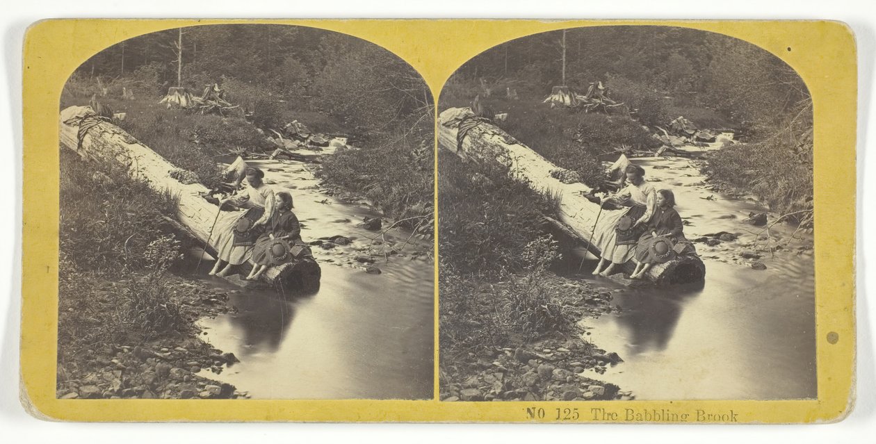 The Babbling Brook, 185575. Tvůrci: Kilburn Brothers, BW Kilburn. od Kilburn Brothers, BW Kilburn