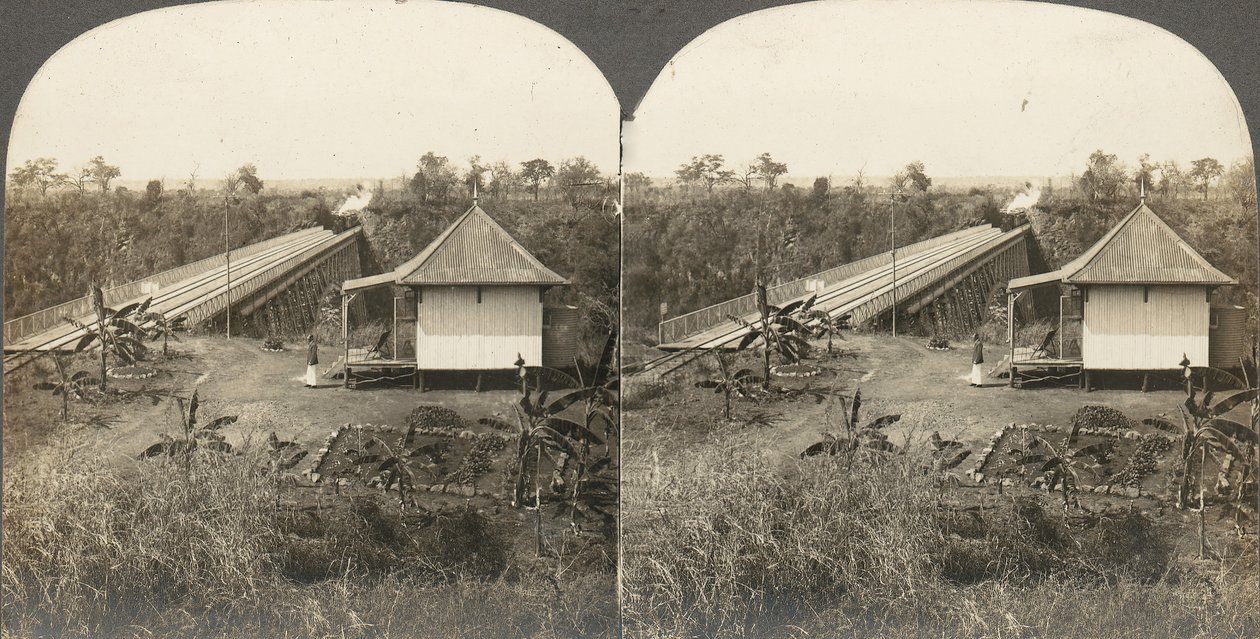 Skupina 14 stereografií Afriky a herců, 1850-1910. od Kilburn Brothers