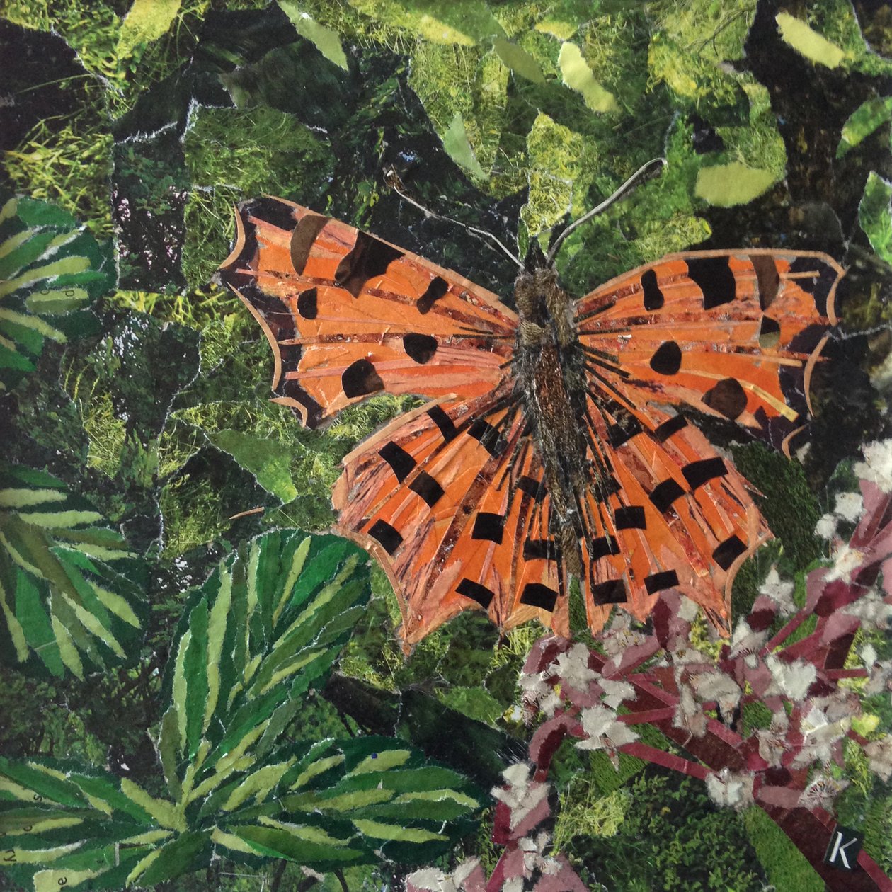 Flutter - Comma Butterfly Na Japonica od Kirstie Adamson