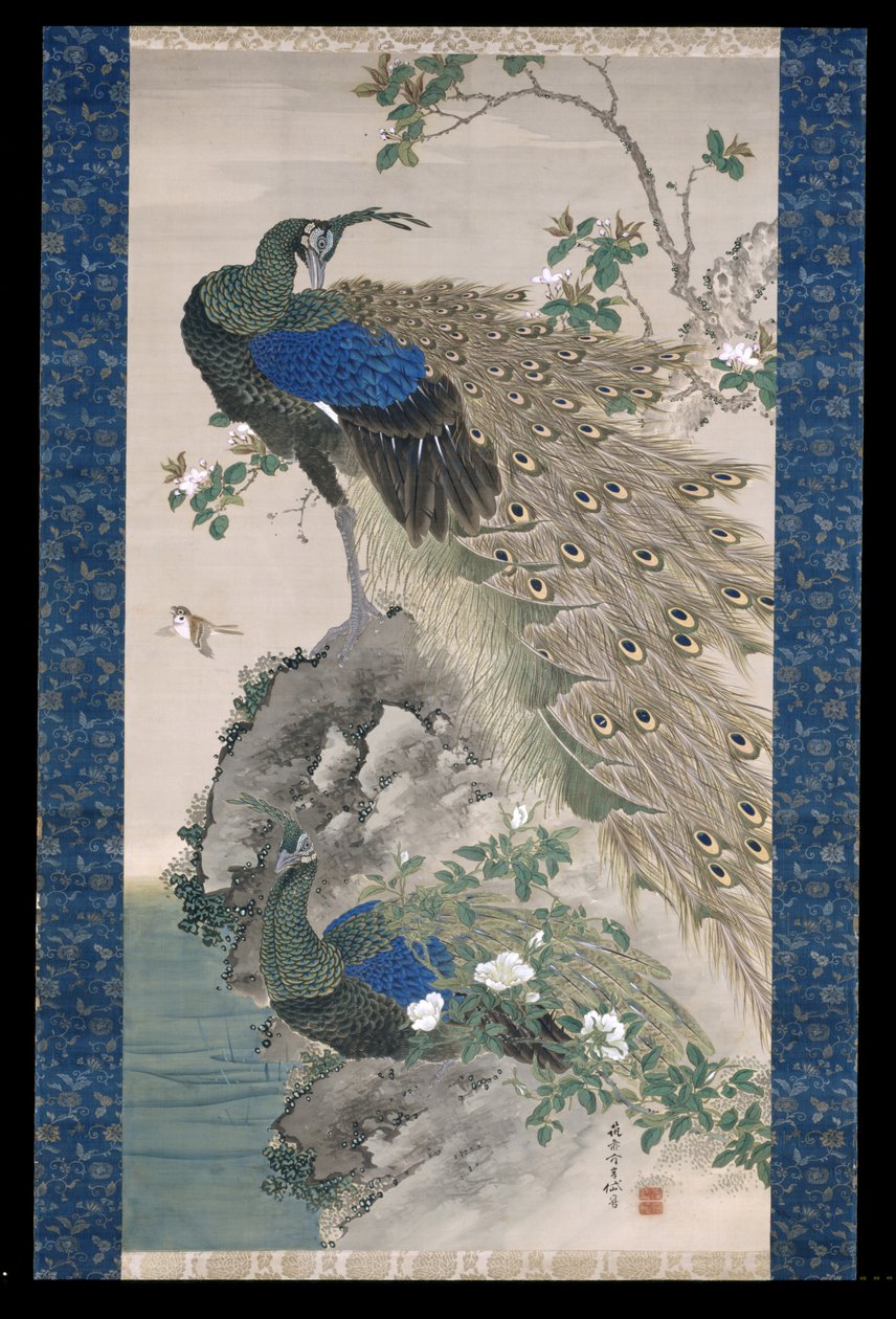 Cherry-Apple And Peacocks On Rock (inkoust a barvy na hedvábí) od Kishi Ganku