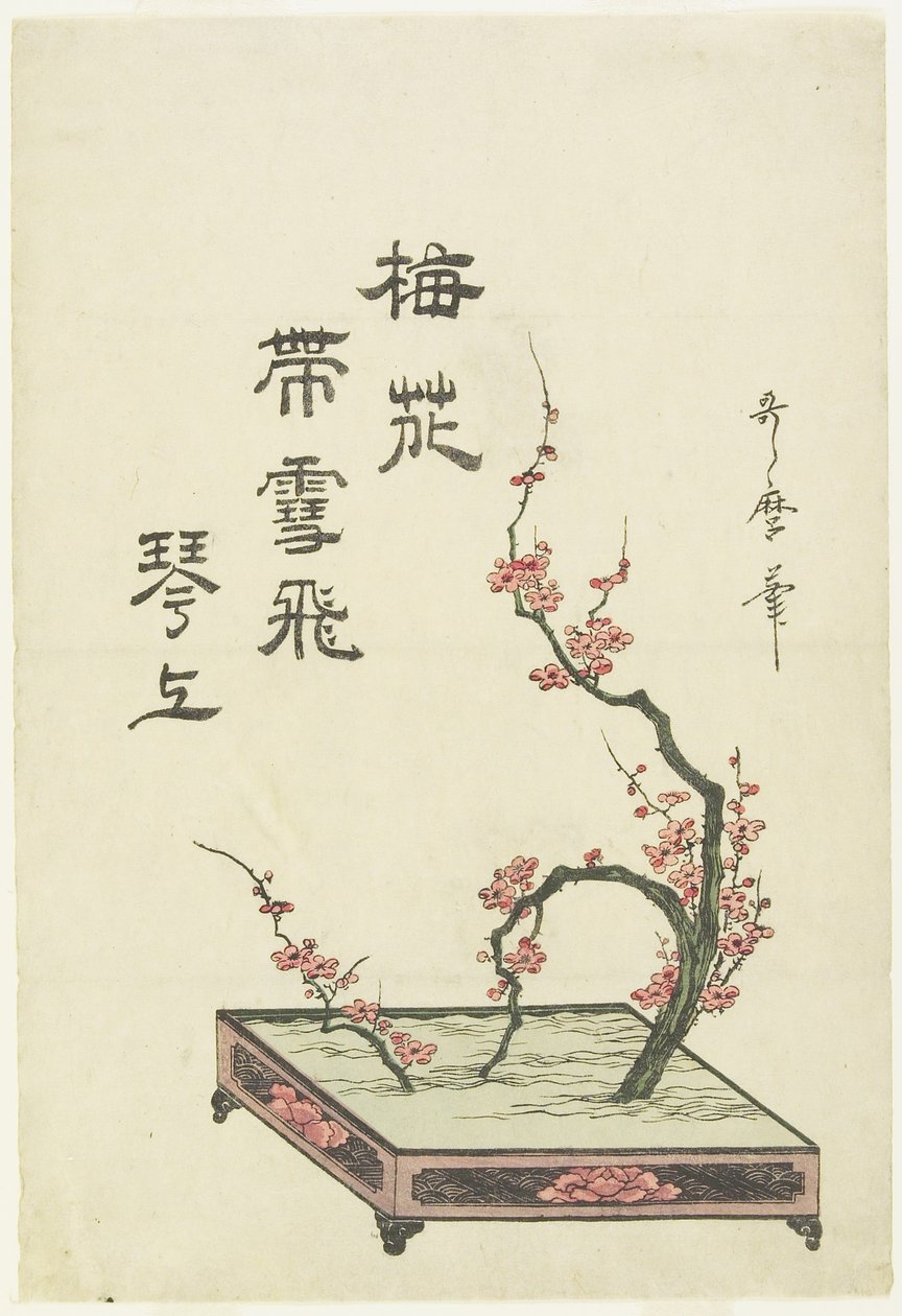 (Aranžování ze švestek) od Kitagawa Utamaro