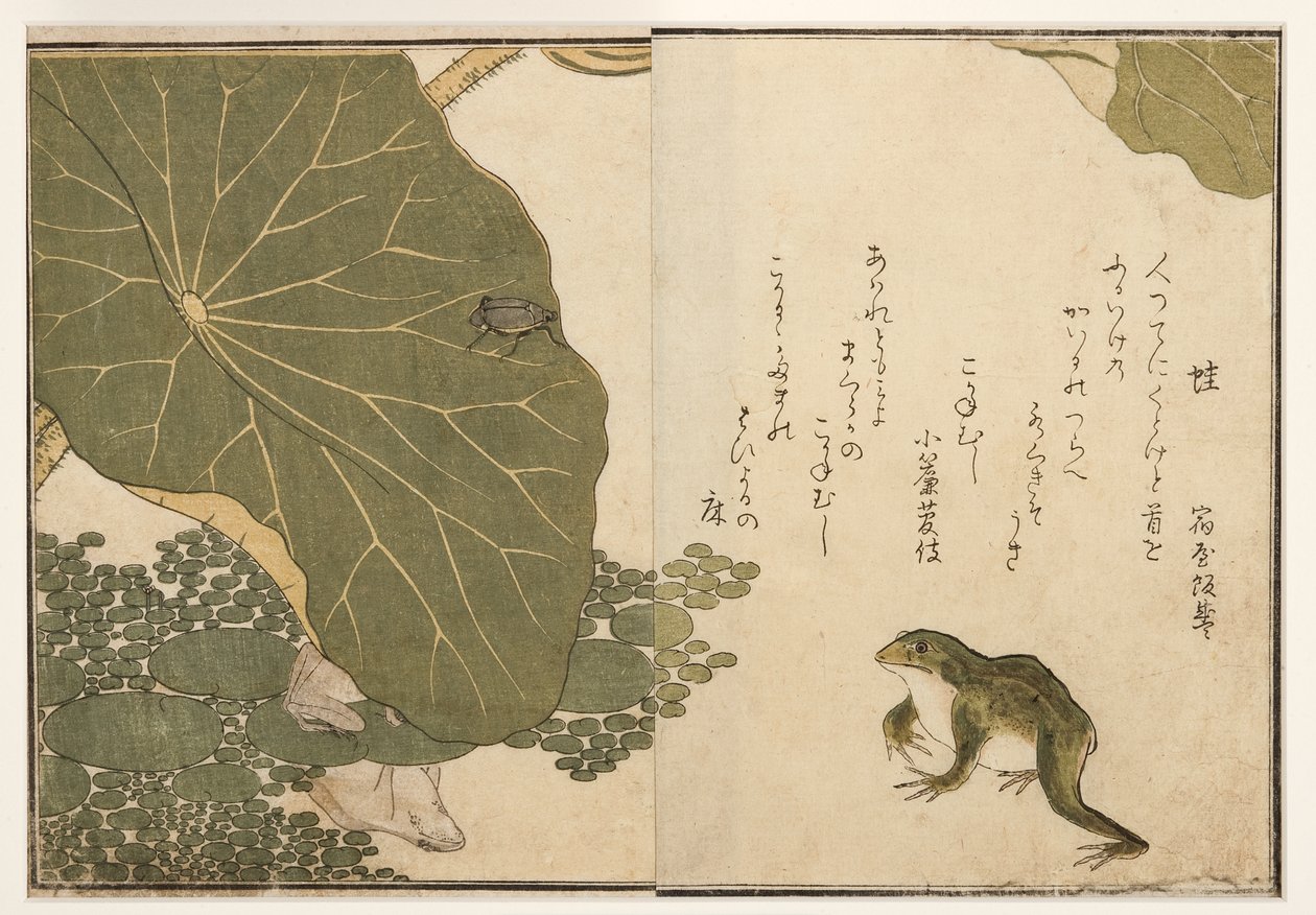 Žáby a zlatý hmyzí brouk, 1788 (woodblock) od Kitagawa Utamaro
