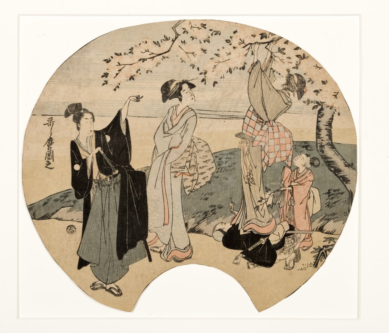 Prohlížení třešňových květů, 1794-96 (woodblock) od Kitagawa Utamaro