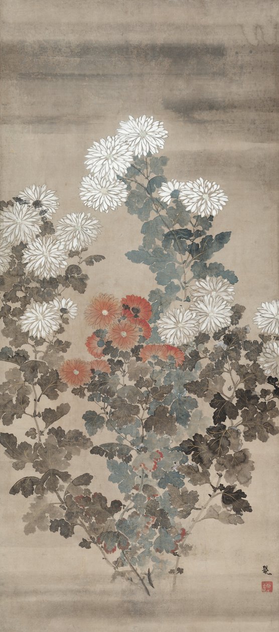 Chryzantémy, polovina 1600s. od Kitagawa Sosetsu