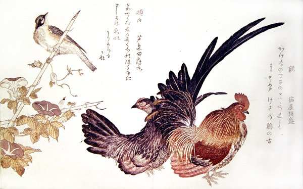 Domácí slepice a kohout a strnad japonský na bambusovém výhonku, cca 1791 (barevný dřevotisk) od Kitagawa Utamaro