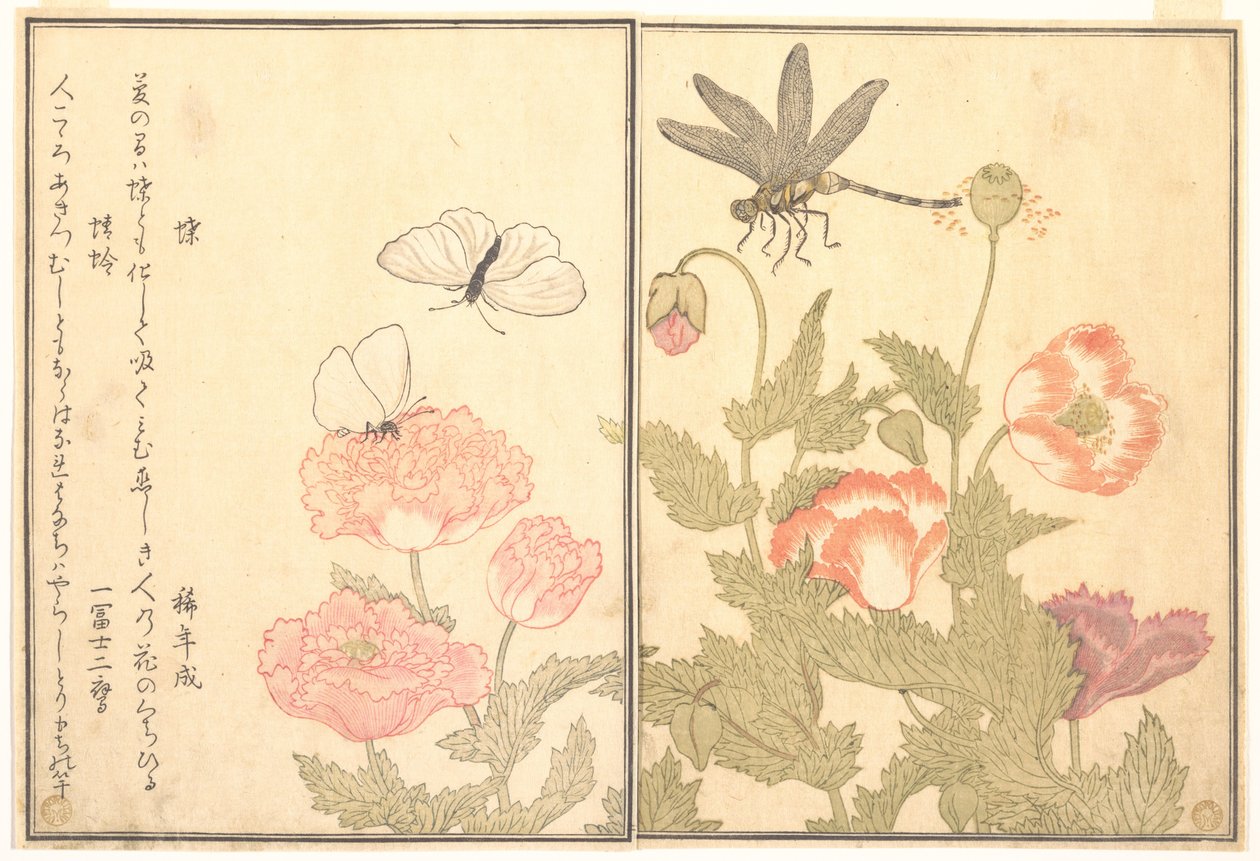 Motýl (Chō); Vážka (Kagerō nebo Tonbo), z Obrázkové knihy lezoucích tvorů (Ehon mushi erami) od Kitagawa Utamaro