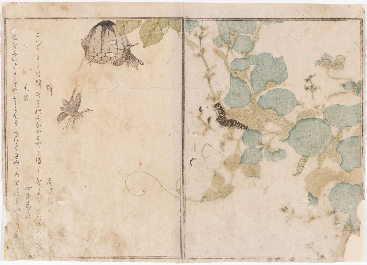 Housenky a včely od Kitagawa Utamaro