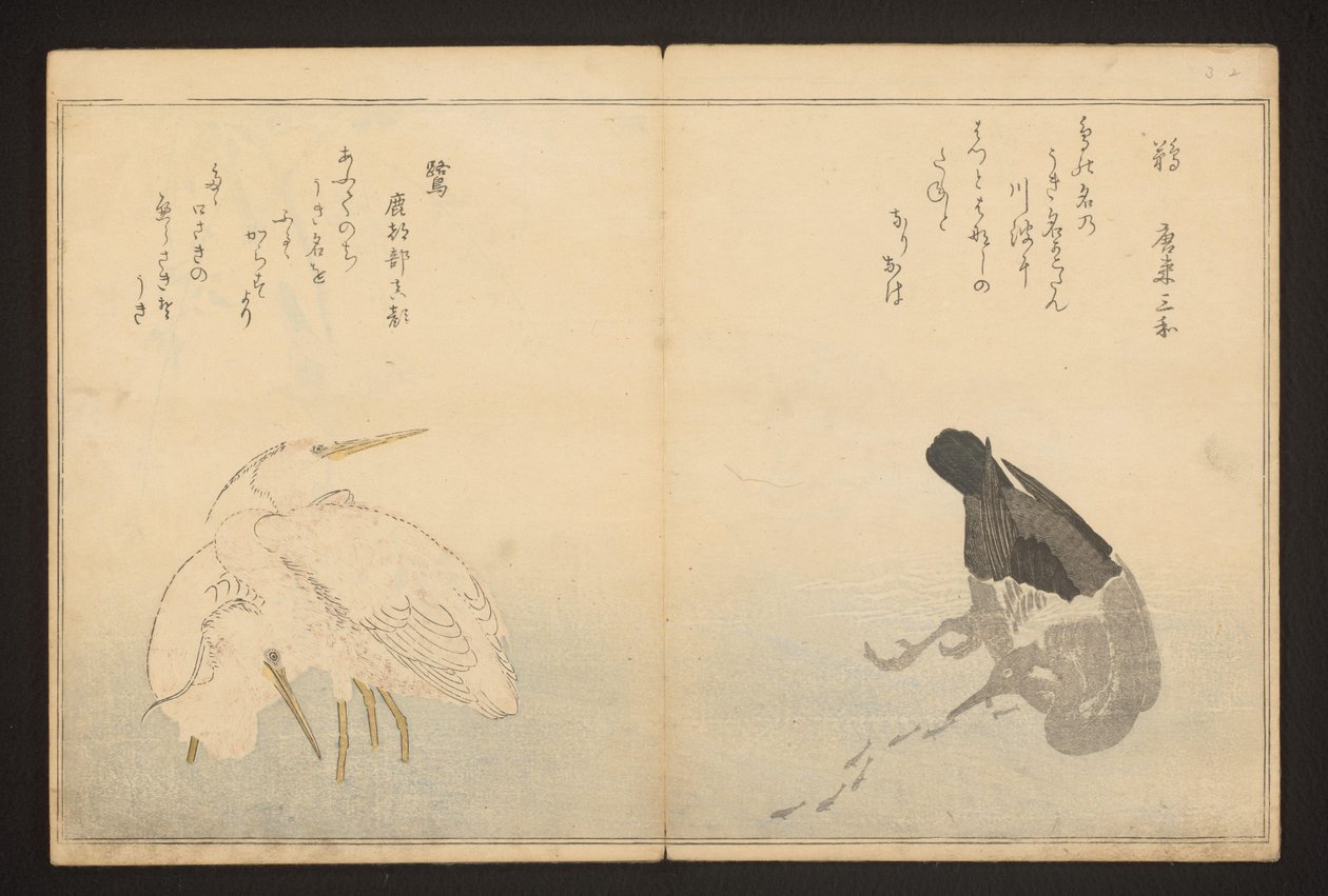 Kormorán a volavka od Kitagawa Utamaro